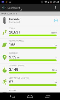 FitBit summary screen