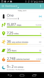 FitBit log