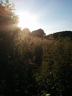 Running near Chalfont St Peter